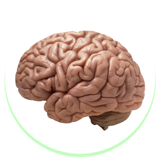 Migraine, Headache & Brain Disorders