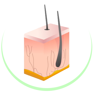 Skin & Hair Problems