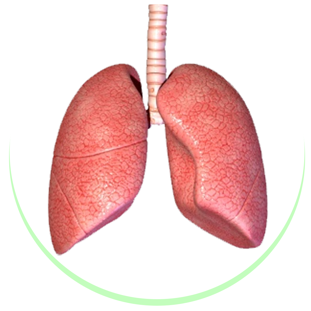 Asthma, Chronic Cough & Lung Diseases